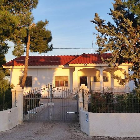 B&B Villa Vittorio Galatone Exterior foto